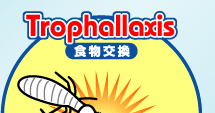 Trophallaxis H