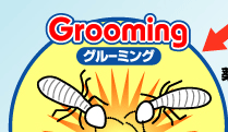 Grooming O[~O