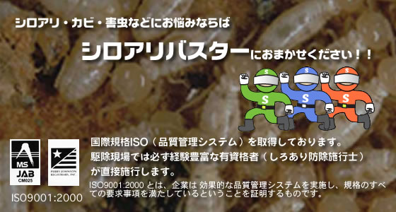 シロアリ・カビ・害虫などにお悩みならシロアリバスターにおまかせください!!