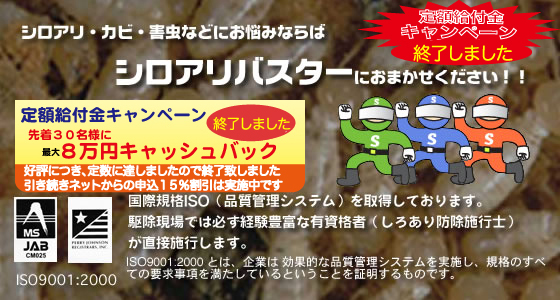 シロアリ・カビ・害虫などにお悩みならシロアリバスターにおまかせください!!